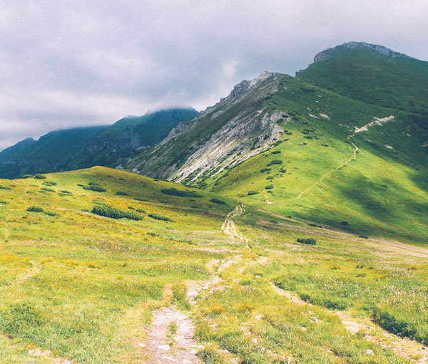 正版最便宜的ddos压力在线测试平台